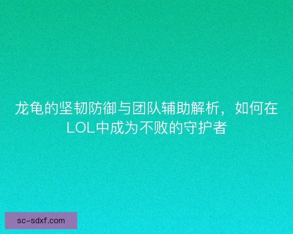龙龟的坚韧防御与团队辅助解析，如何在LOL中成为不败的守护者