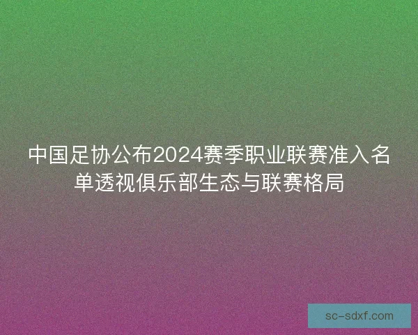 中国足协公布2024赛季职业联赛准入名单透视俱乐部生态与联赛格局