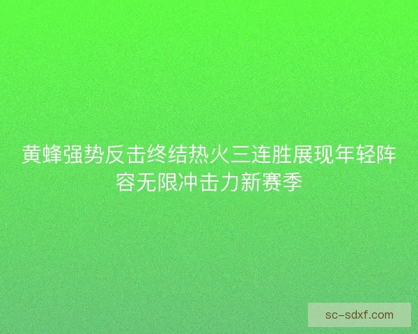 黄蜂强势反击终结热火三连胜展现年轻阵容无限冲击力新赛季