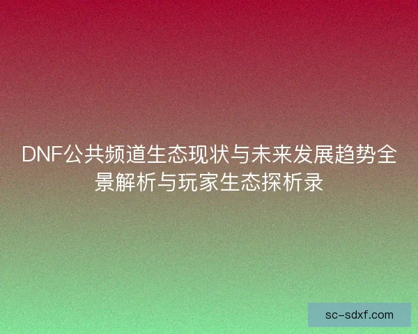 DNF公共频道生态现状与未来发展趋势全景解析与玩家生态探析录
