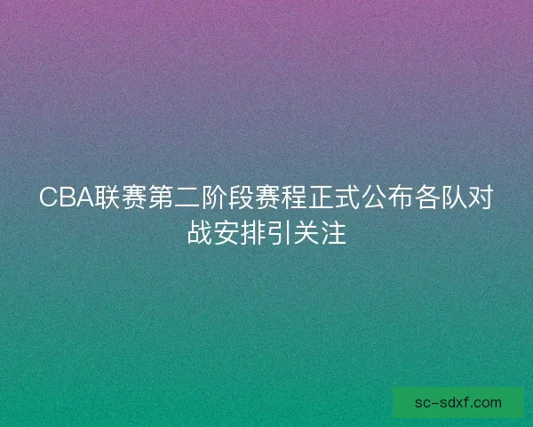 CBA联赛第二阶段赛程正式公布各队对战安排引关注