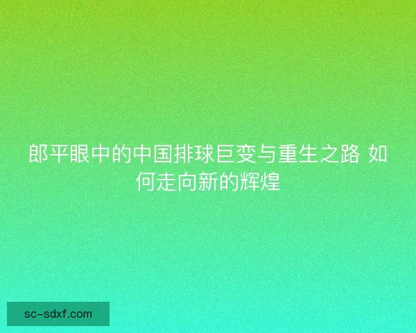 郎平眼中的中国排球巨变与重生之路 如何走向新的辉煌