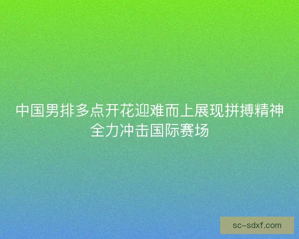 中国男排多点开花迎难而上展现拼搏精神全力冲击国际赛场