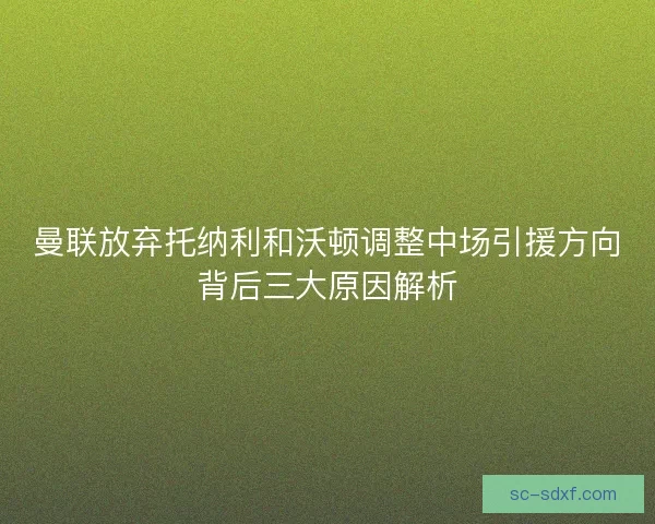 曼联放弃托纳利和沃顿调整中场引援方向背后三大原因解析 曼联放弃托纳利和沃顿调整中场引援方向背后三大原因解析