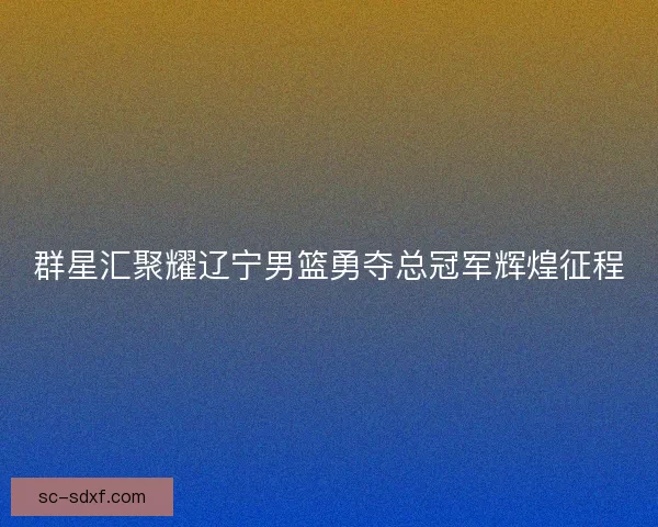 群星汇聚耀辽宁男篮勇夺总冠军辉煌征程