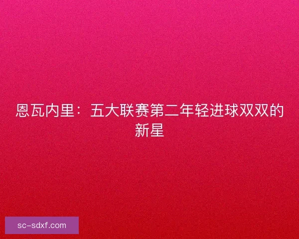 恩瓦内里：五大联赛第二年轻进球双双的新星